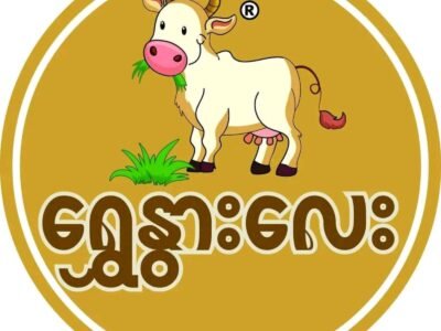 Shwe Nwar Lay Organic Yogurt - ရွှေနွားလေး အော်ဂဲနစ်ဒိန်ချဥ် နှင့်မုန့်တိုက် @ Branch - 2