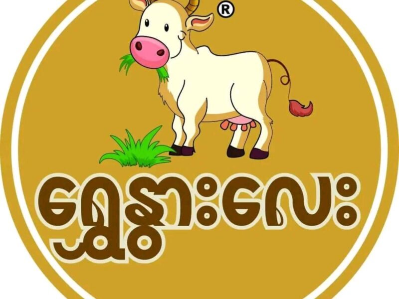 Shwe Nwar Lay Organic Yogurt - ရွှေနွားလေး အော်ဂဲနစ်ဒိန်ချဥ် နှင့်မုန့်တိုက် @ Branch - 3