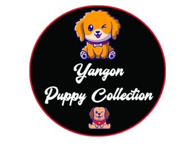 Yangon Puppy Collection