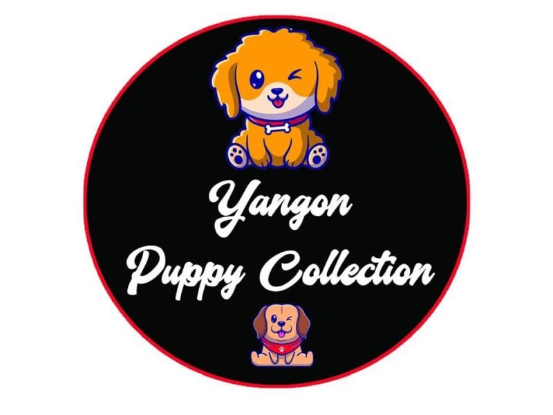 Yangon Puppy Collection